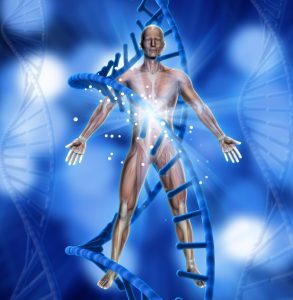 Effects of LLLT on the body.Eviasis.ent