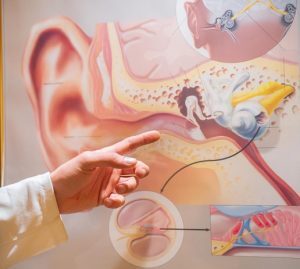 Μέτρηση ακουστικών αντανακλαστικών.ευίασις