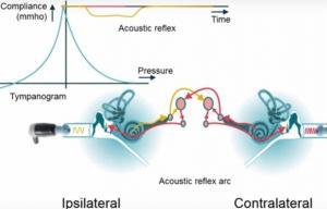 Διαγνωστικές Εξετάσεις.ent